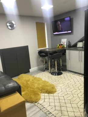 2 bedroom Apartment for companies workers and professionals only! Not for pleasure , no parties and gatherings please